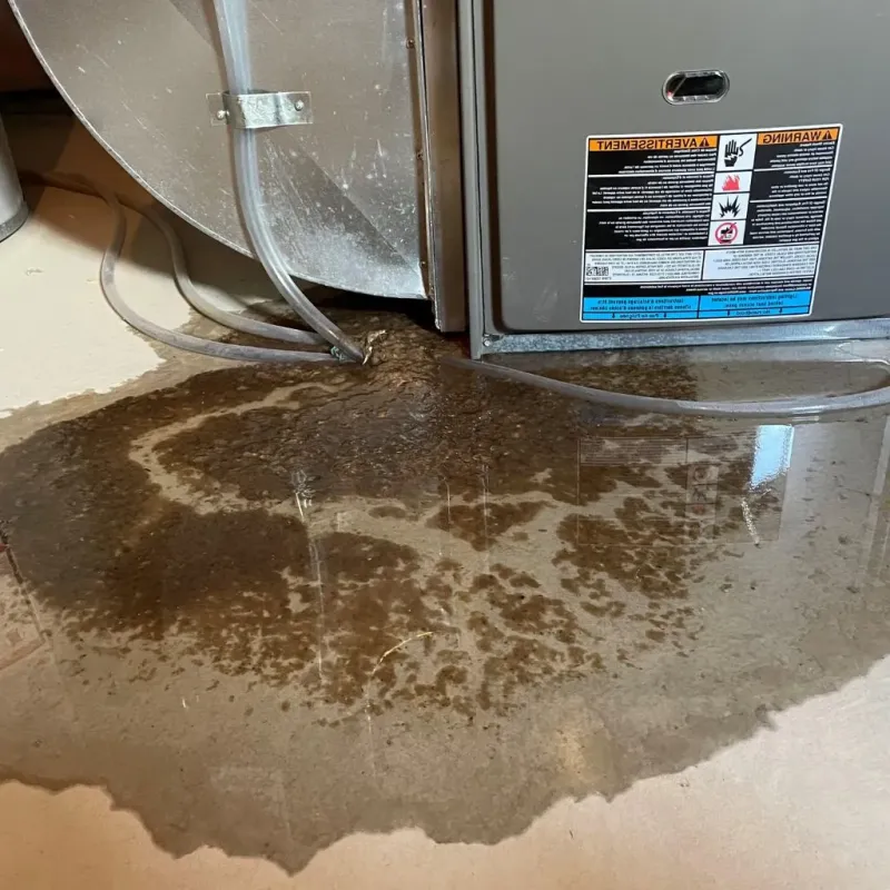 Pipe Burst and Leak Restoration in Lovell, WY