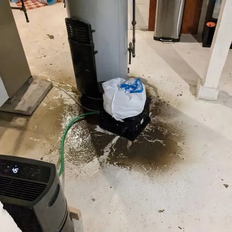Sewage Backup Cleanup Service in Lovell, WY